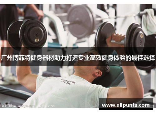 广州博菲特健身器材助力打造专业高效健身体验的最佳选择