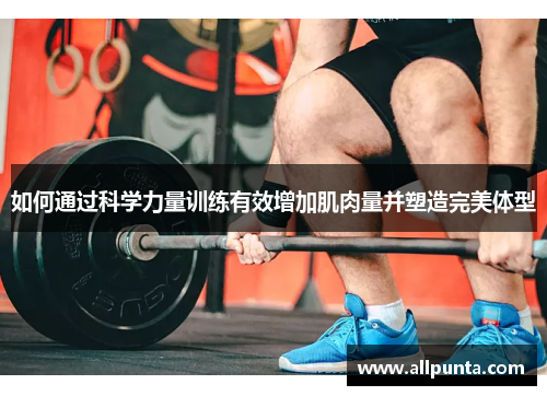 如何通过科学力量训练有效增加肌肉量并塑造完美体型