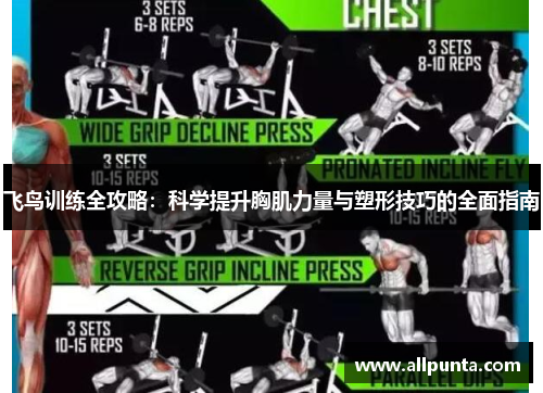 飞鸟训练全攻略：科学提升胸肌力量与塑形技巧的全面指南
