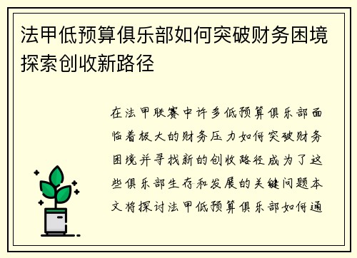 法甲低预算俱乐部如何突破财务困境探索创收新路径