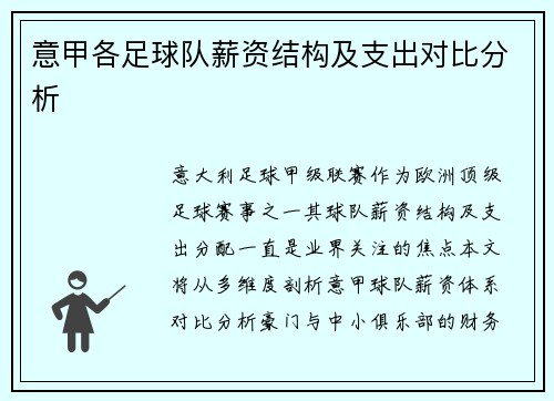 意甲各足球队薪资结构及支出对比分析